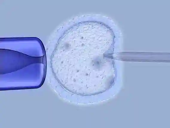 常州当多元家庭拥抱新生命：解锁 “彩虹生子” 的温暖密码