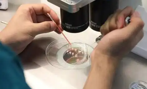 宁波打破偏见的生命礼赞：同性生子背后的爱与坚守